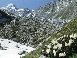 Kashkatash Valley, Mount Bzhedukh, Caucasus, Russia, 3900 m